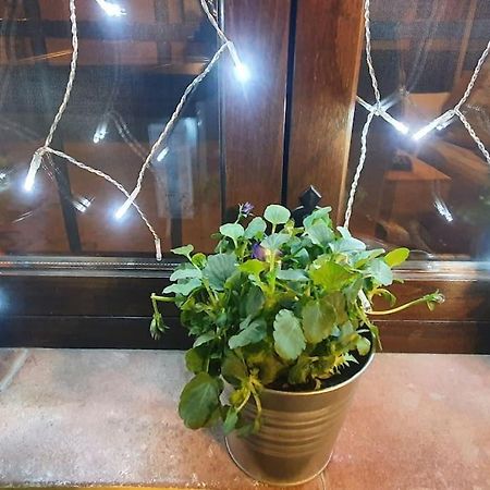 Apartamento Sefardi, Barrio Judio De Hervás Zewnętrze zdjęcie